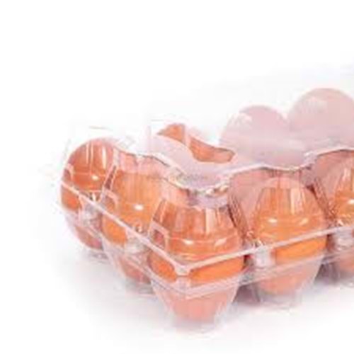 PLASTİK 15 GÖZ YUMURTA VİOL 20 Lİ