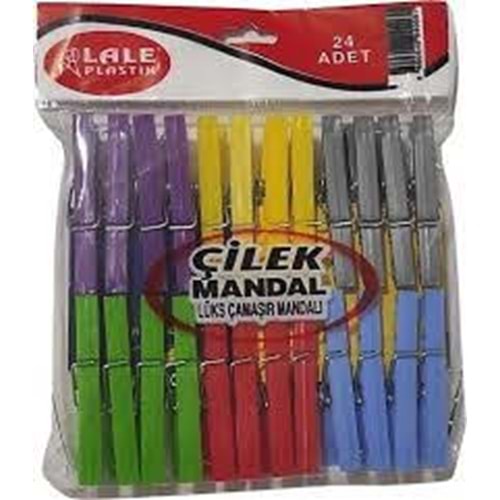 LALE ÇİÇEK MANDAL 24 LÜ