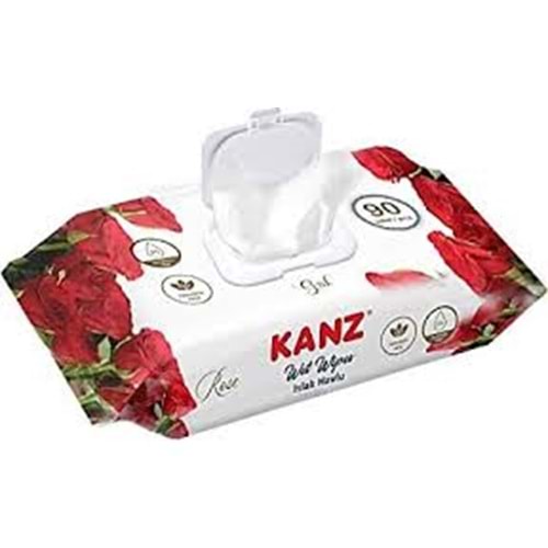 KANZ BEBEK ISLAK MENDİL 90 LI