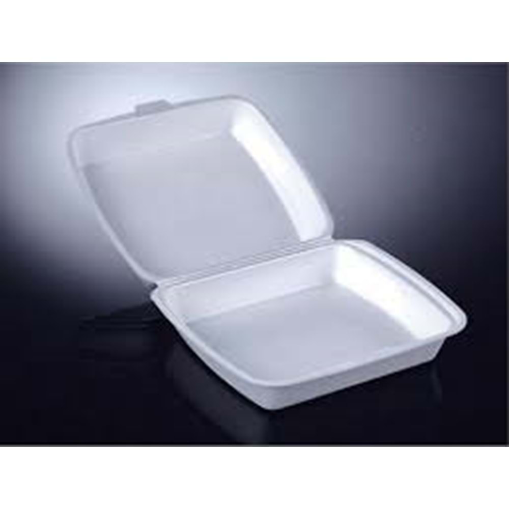 LÜX BÖLMESİZ KAPAKLI 100 LÜ