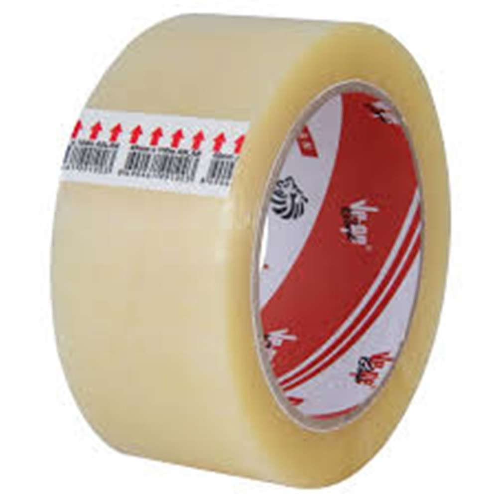 VEGE ASLAN BANT 100 MT